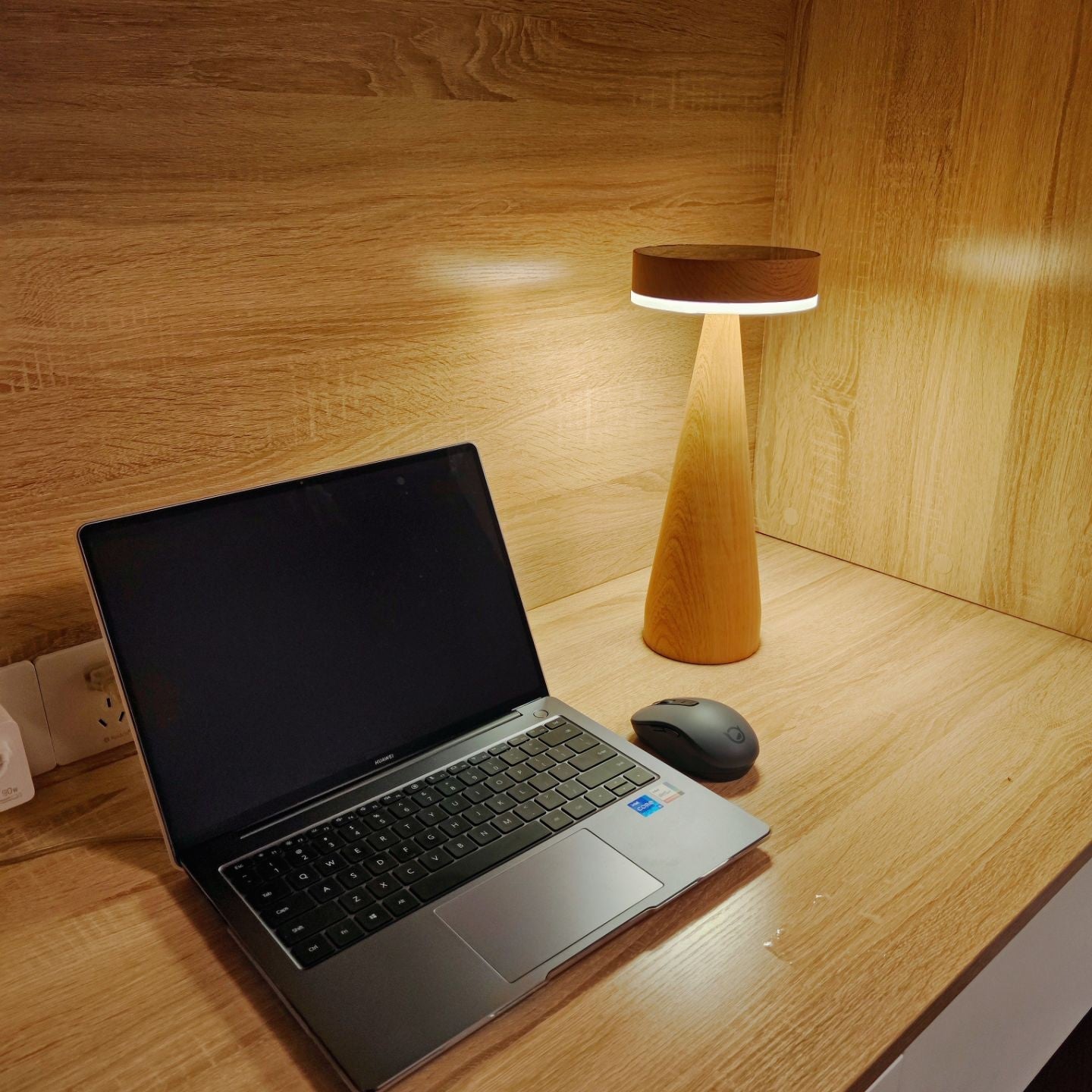 FENWICK PORTABLE ILLUMINATION LAMP