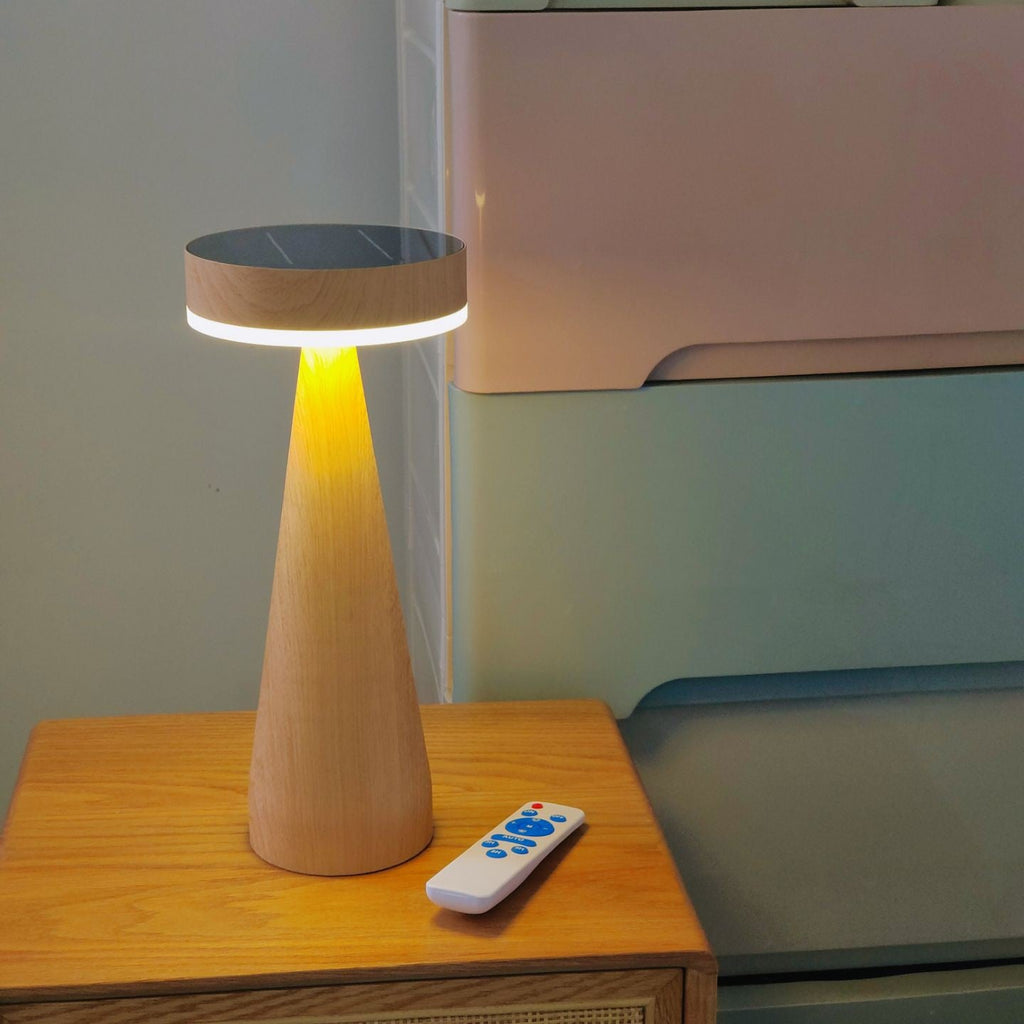 FENWICK PORTABLE ILLUMINATION LAMP