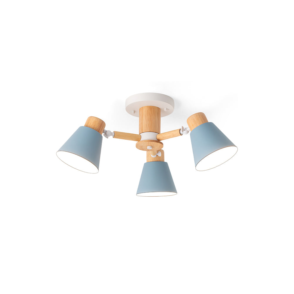 RAVENSCROFT DOME-STYLE CEILING ILLUMINATOR