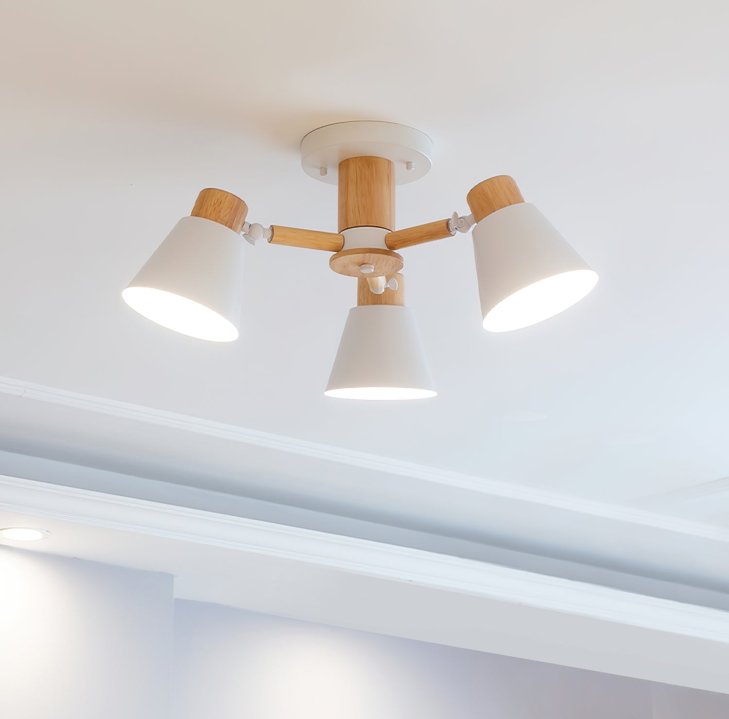 RAVENSCROFT DOME-STYLE CEILING ILLUMINATOR