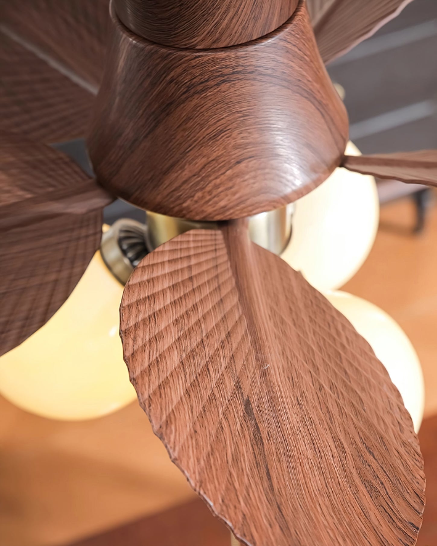 Coral Bay Luminaire Fan Fixture
