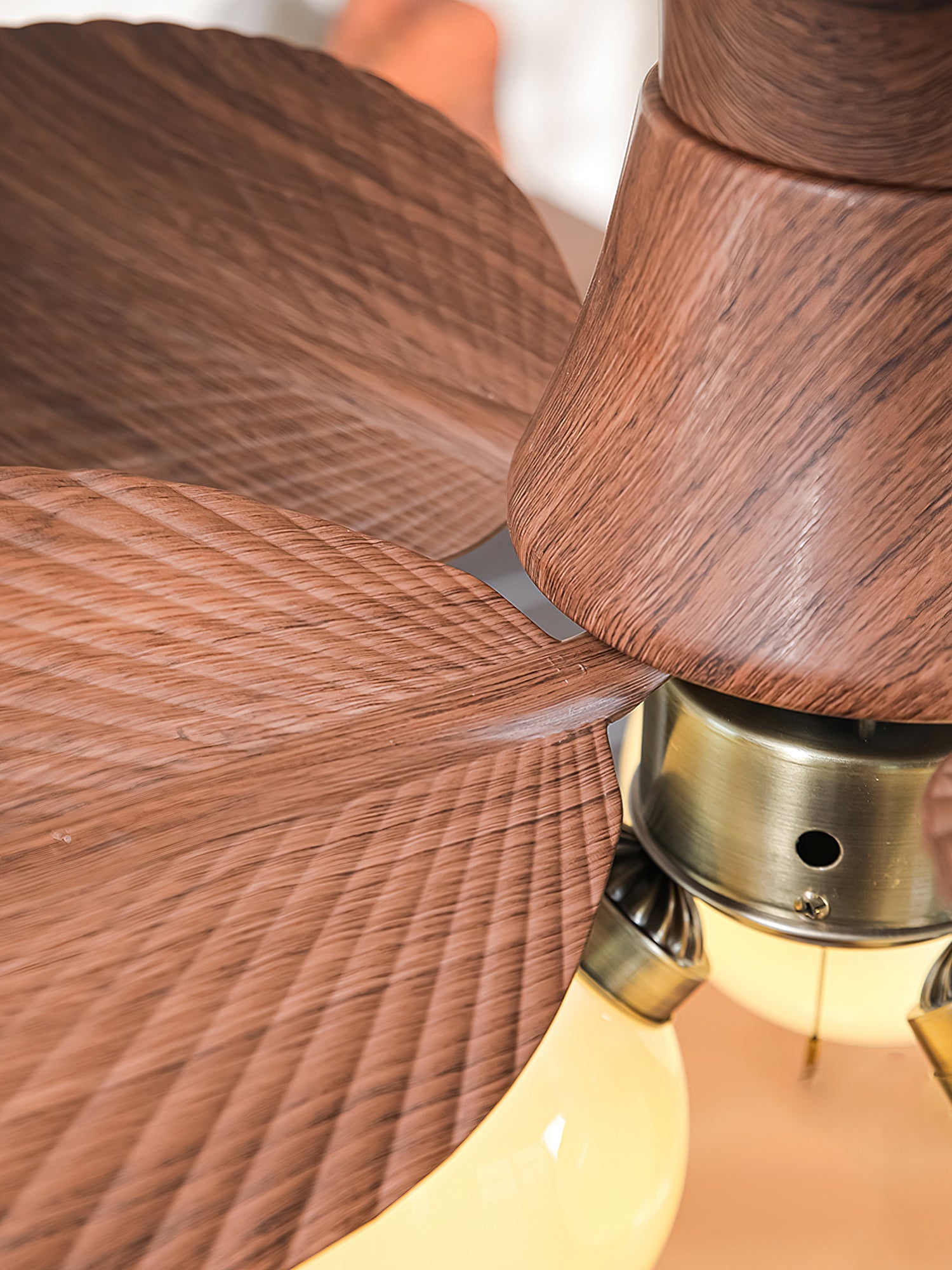 Coral Bay Luminaire Fan Fixture