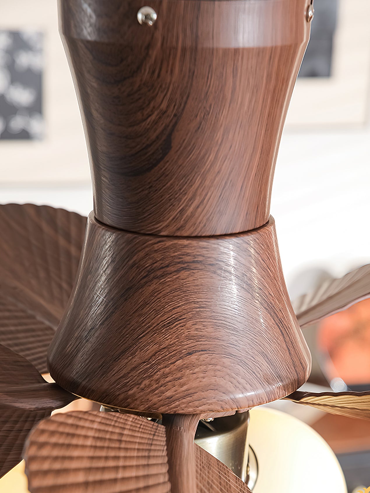 Coral Bay Luminaire Fan Fixture