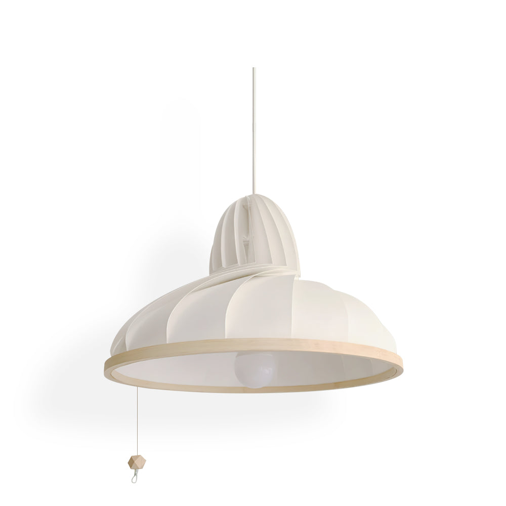 RAVENHALL DOME-STYLE HANGING LAMP