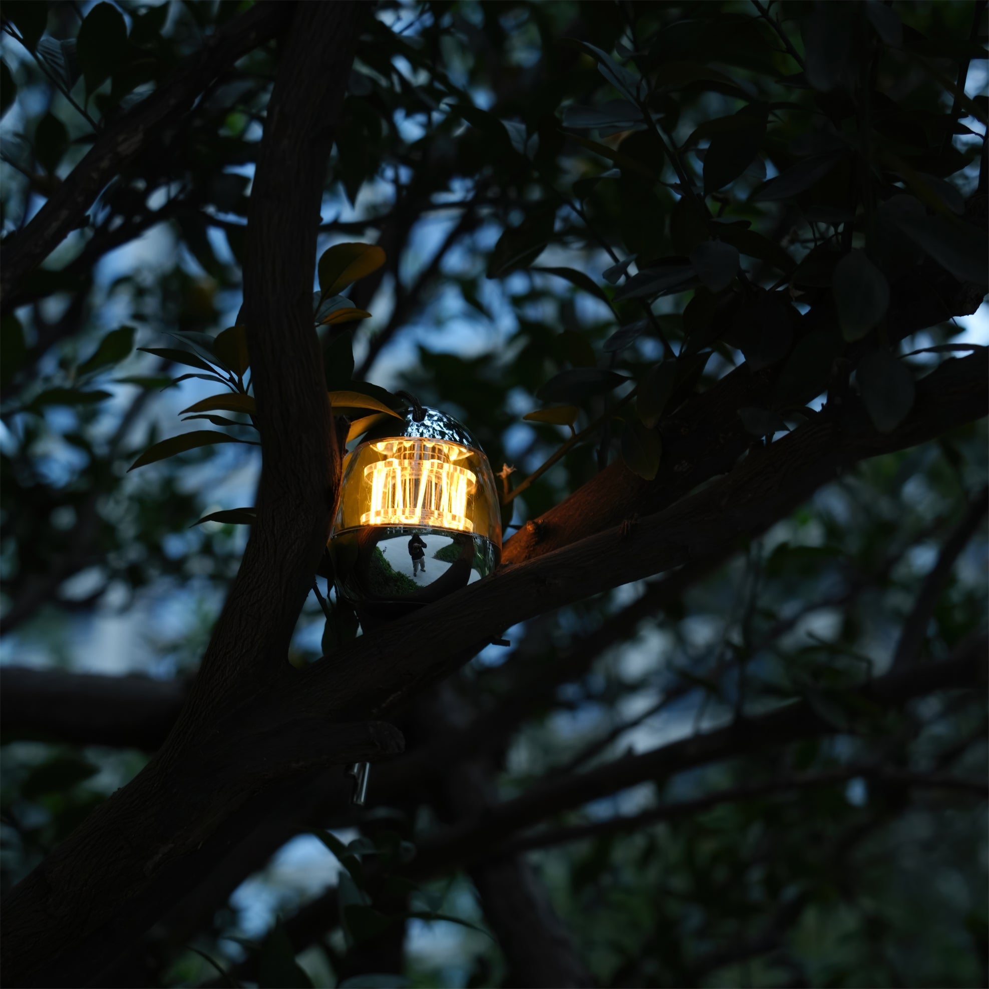 WINTHORPE PETITE GLOBE ILLUMINATOR