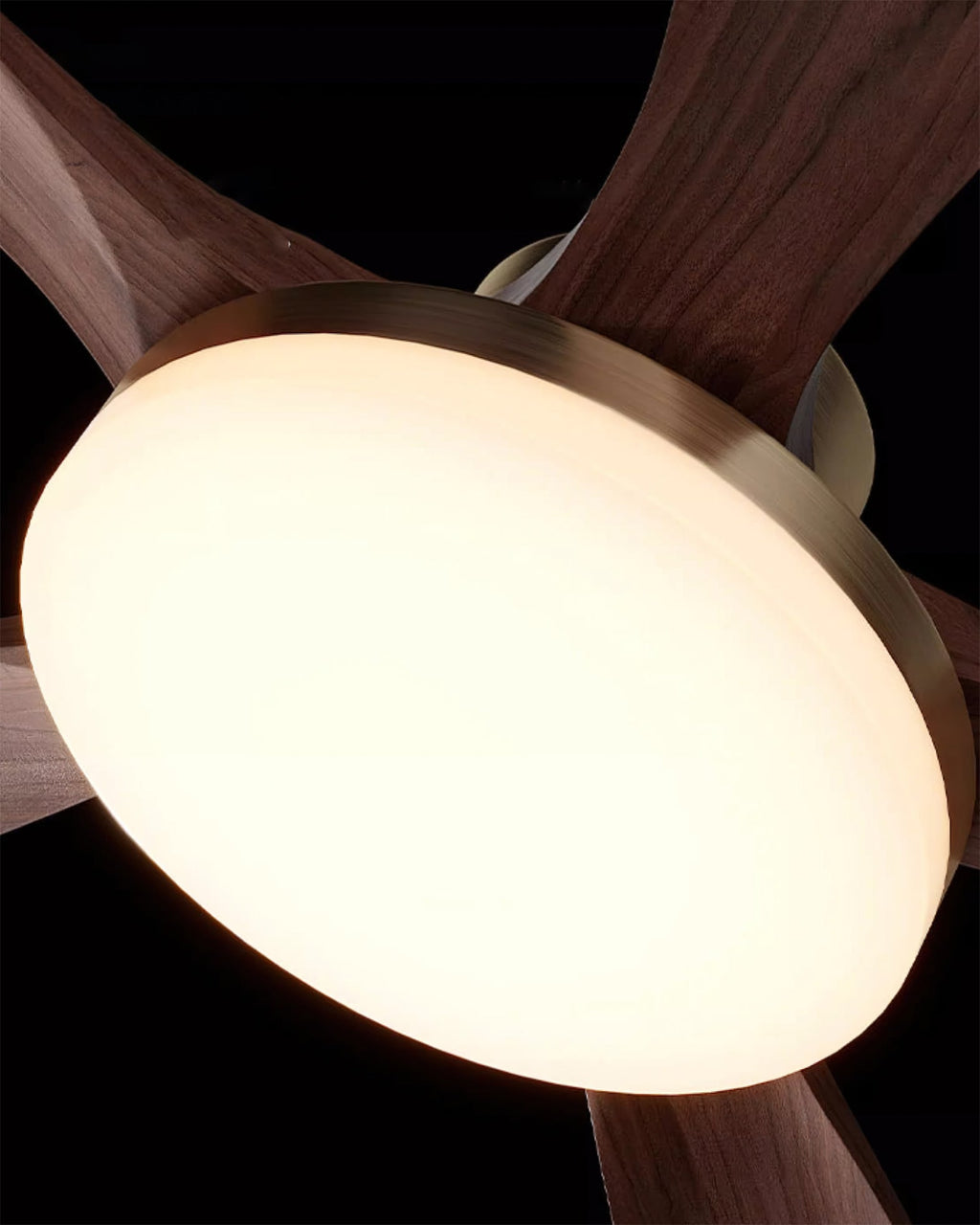 FENWICK WHIRLPOOL ILLUMINATION CEILING FIXTURE