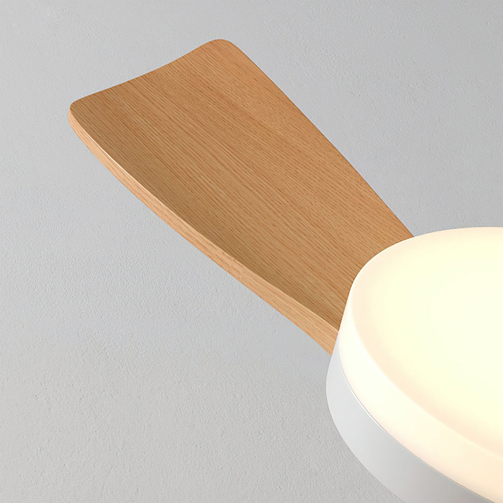 FENWICK WHIRLPOOL ILLUMINATION CEILING FIXTURE