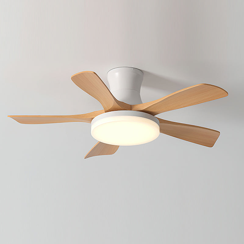 FENWICK WHIRLPOOL ILLUMINATION CEILING FIXTURE