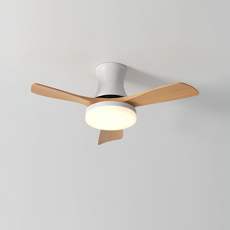 FENWICK WHIRLPOOL ILLUMINATION CEILING FIXTURE
