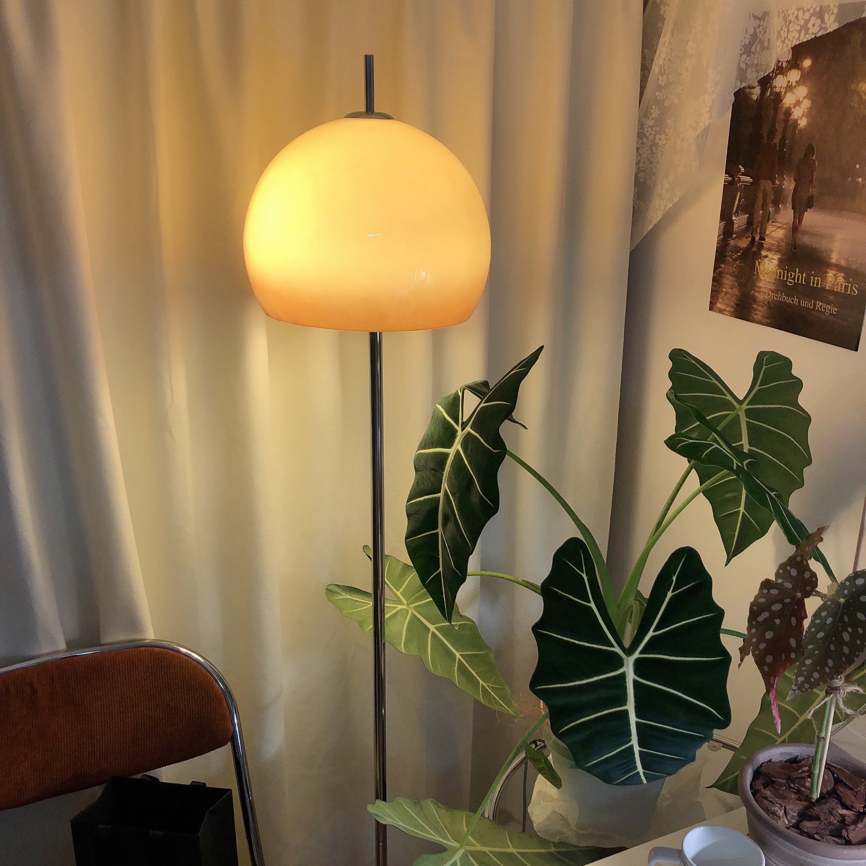 FENWICK FUNGAL RADIANCE LAMP
