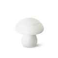 WINTERBOURNE ENCHANTED FUNGAL ILLUMINATOR