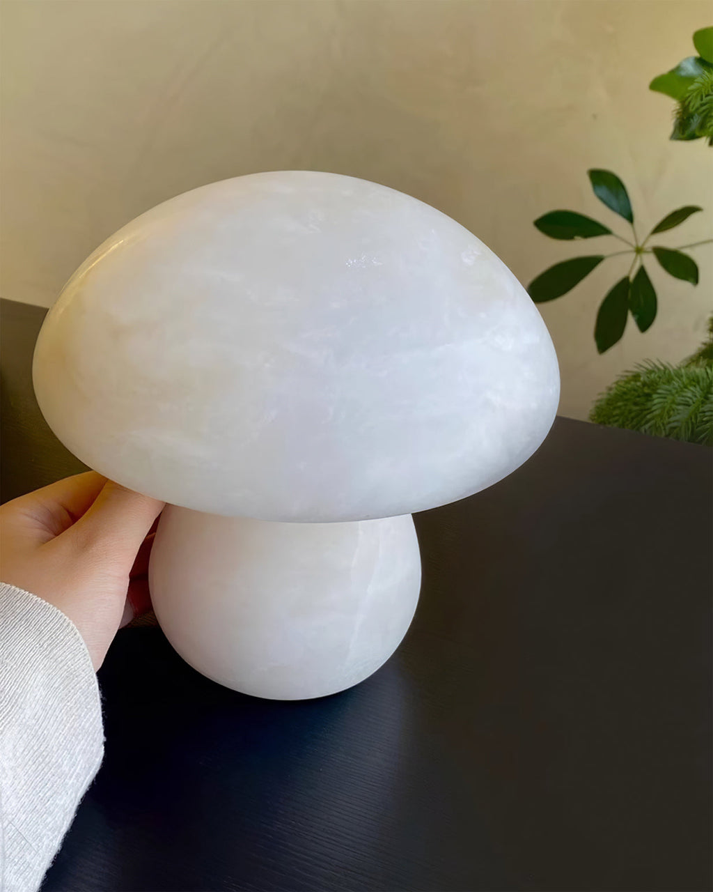 WINTERBOURNE ENCHANTED FUNGAL ILLUMINATOR