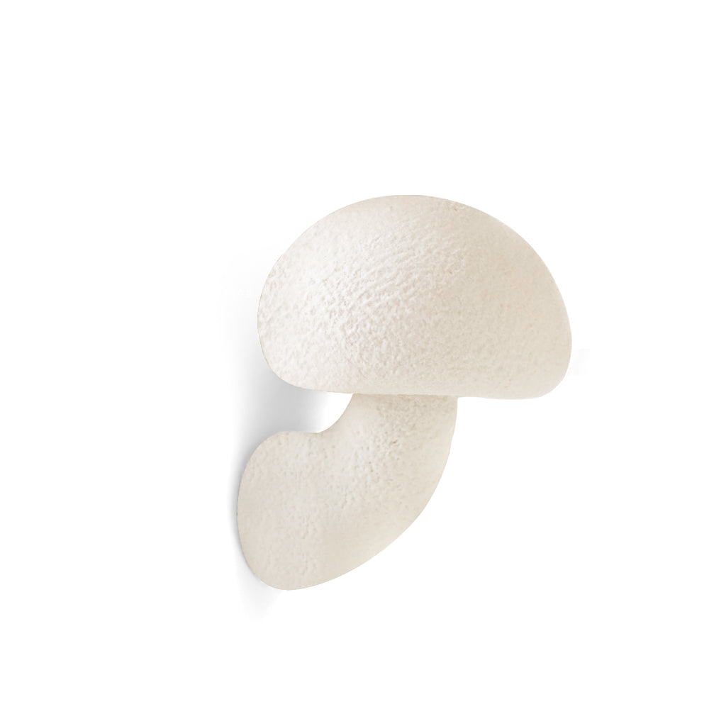 HEATHCLIFF FUNGAL RESIN ILLUMINATOR