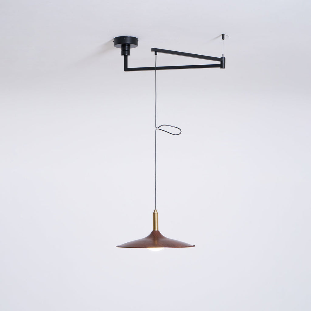 WINTHROP ADJUSTABLE ARM PENDANT LAMP