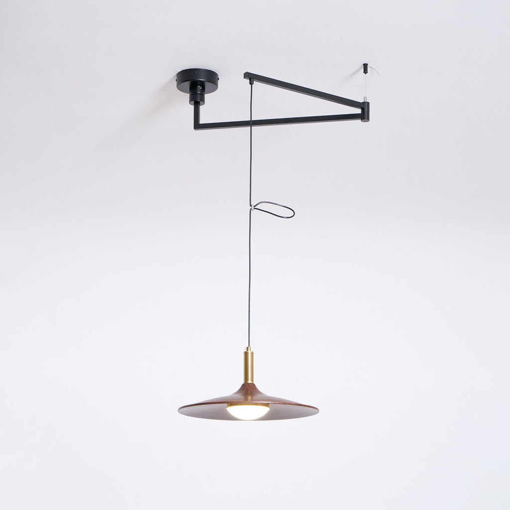 WINTHROP ADJUSTABLE ARM PENDANT LAMP