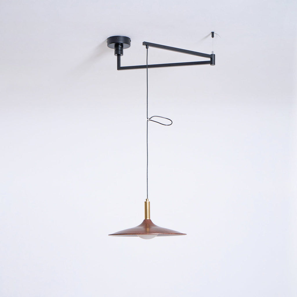 WINTHROP ADJUSTABLE ARM PENDANT LAMP