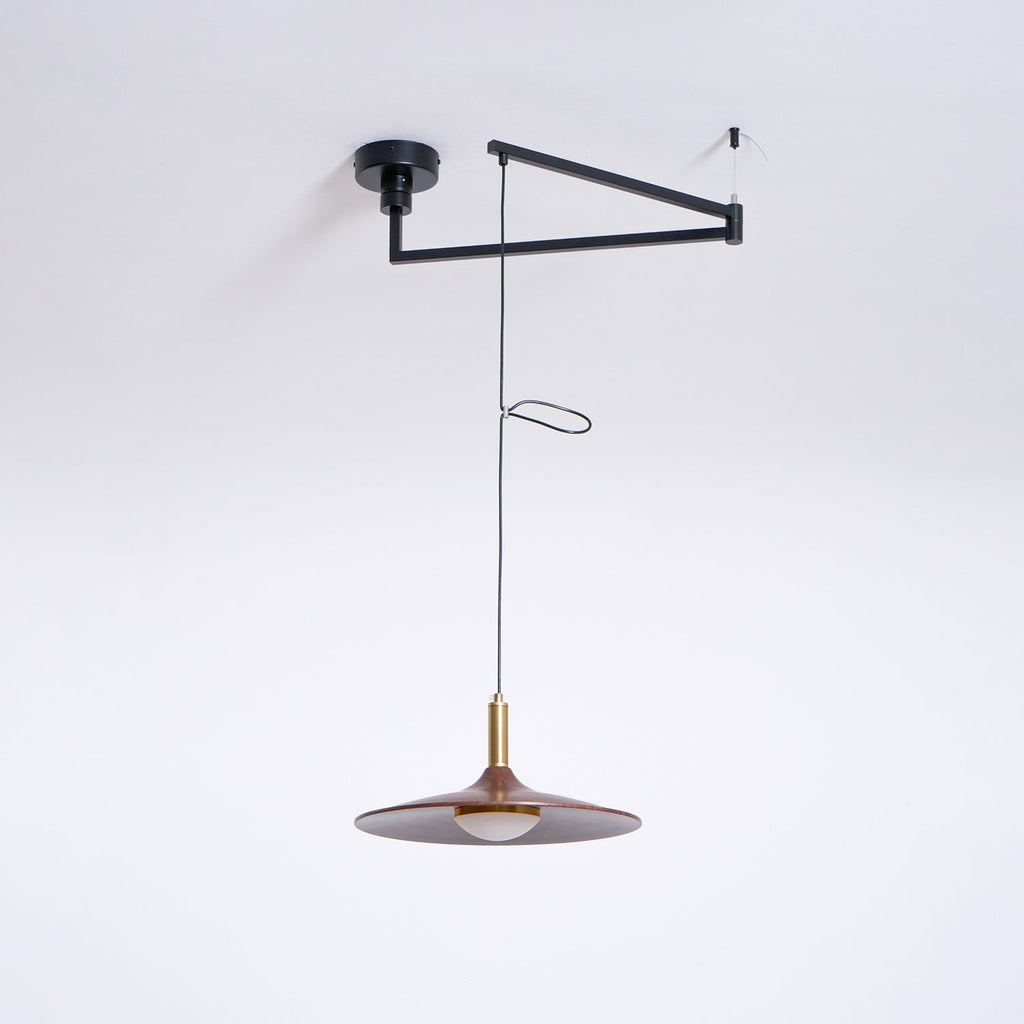 WINTHROP ADJUSTABLE ARM PENDANT LAMP