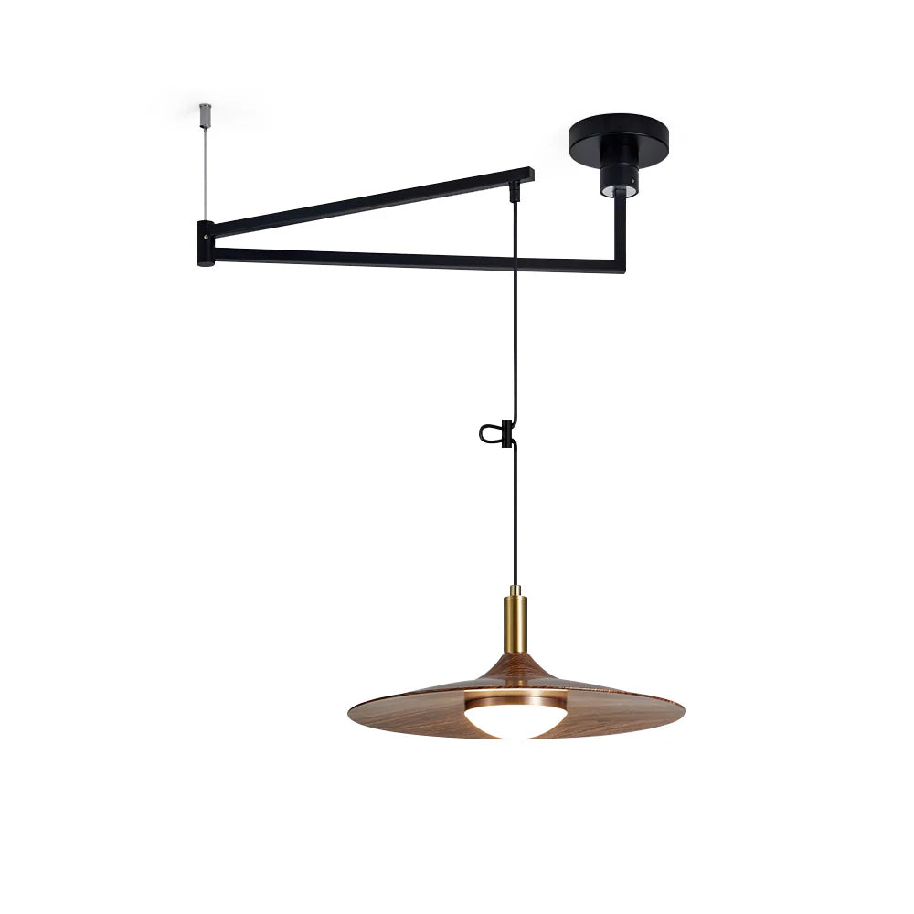 WINTHROP ADJUSTABLE ARM PENDANT LAMP