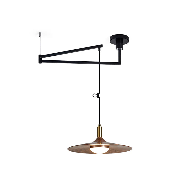 WINTHROP ADJUSTABLE ARM PENDANT LAMP
