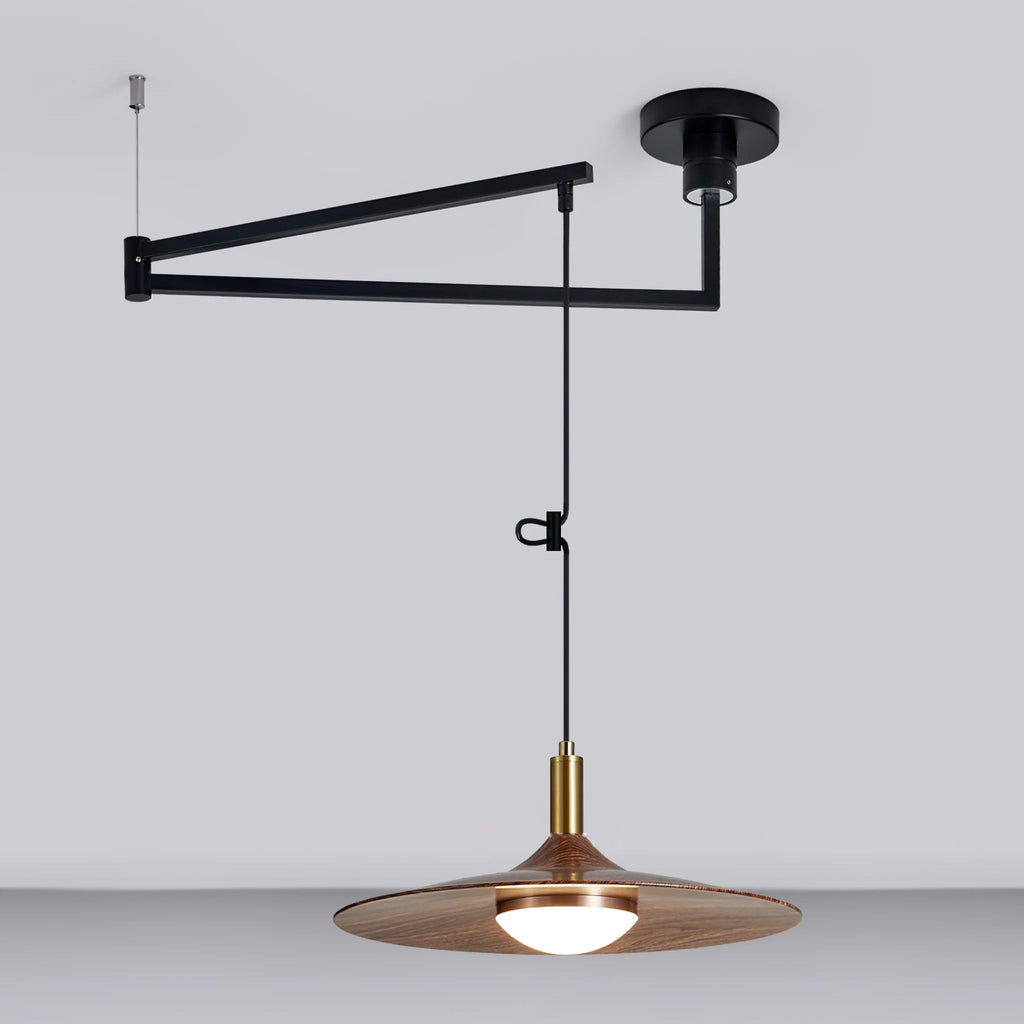 WINTHROP ADJUSTABLE ARM PENDANT LAMP