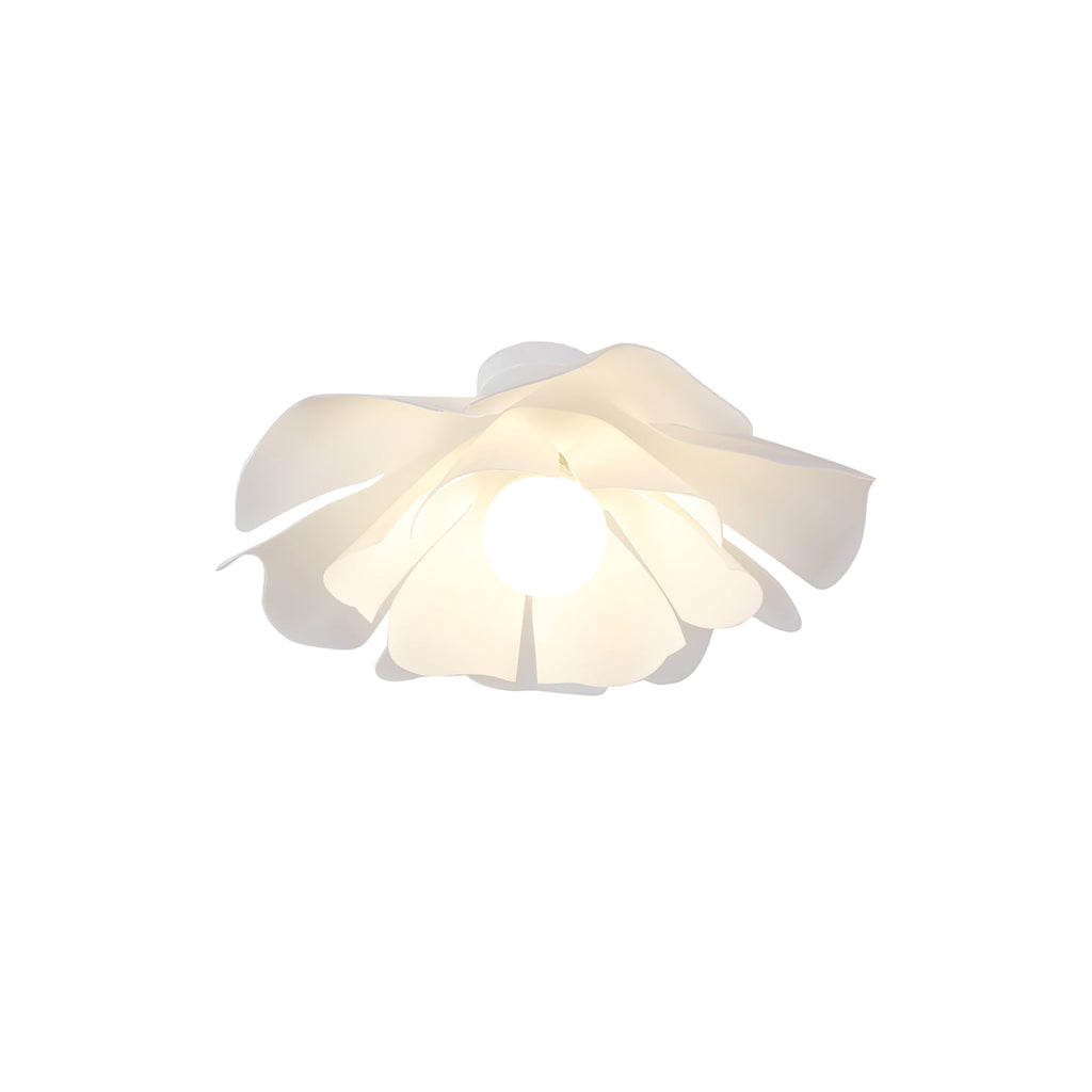 VERITY NOCTURNE LUMINAIRE