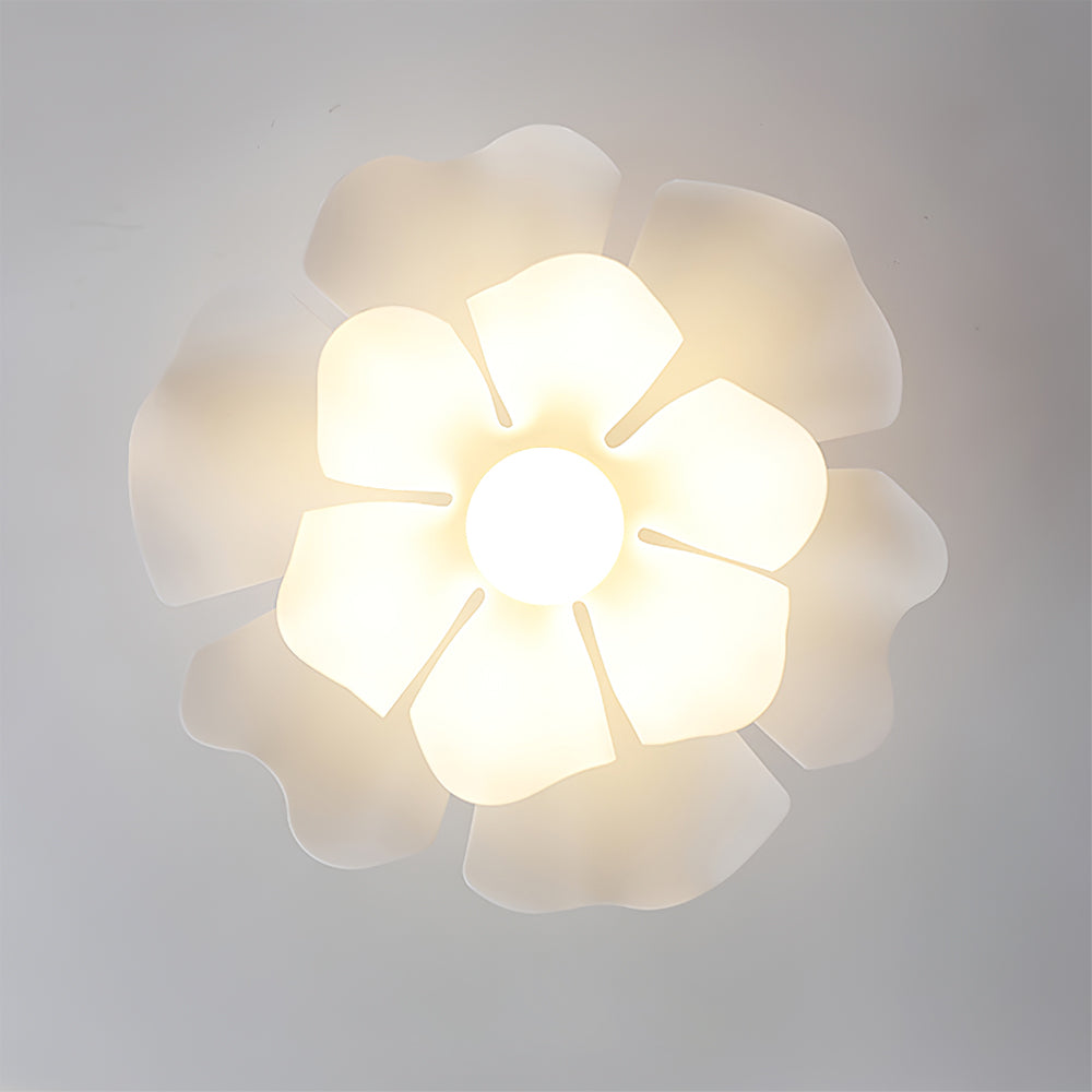 VERITY NOCTURNE LUMINAIRE