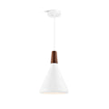 WHITBY HARBOR TEARDROP HANGING LIGHT