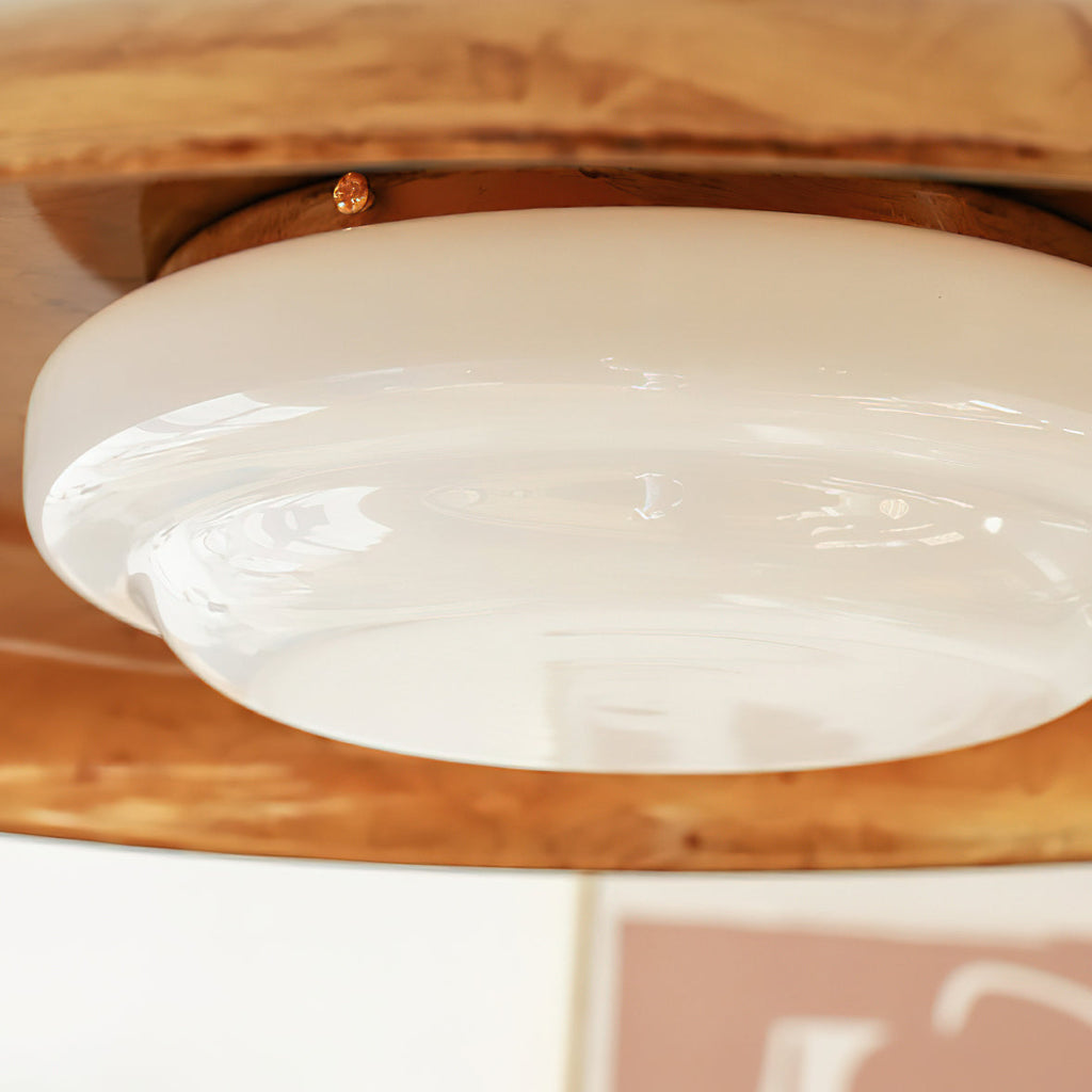 FENWICK HANGING GLOBE LIGHT