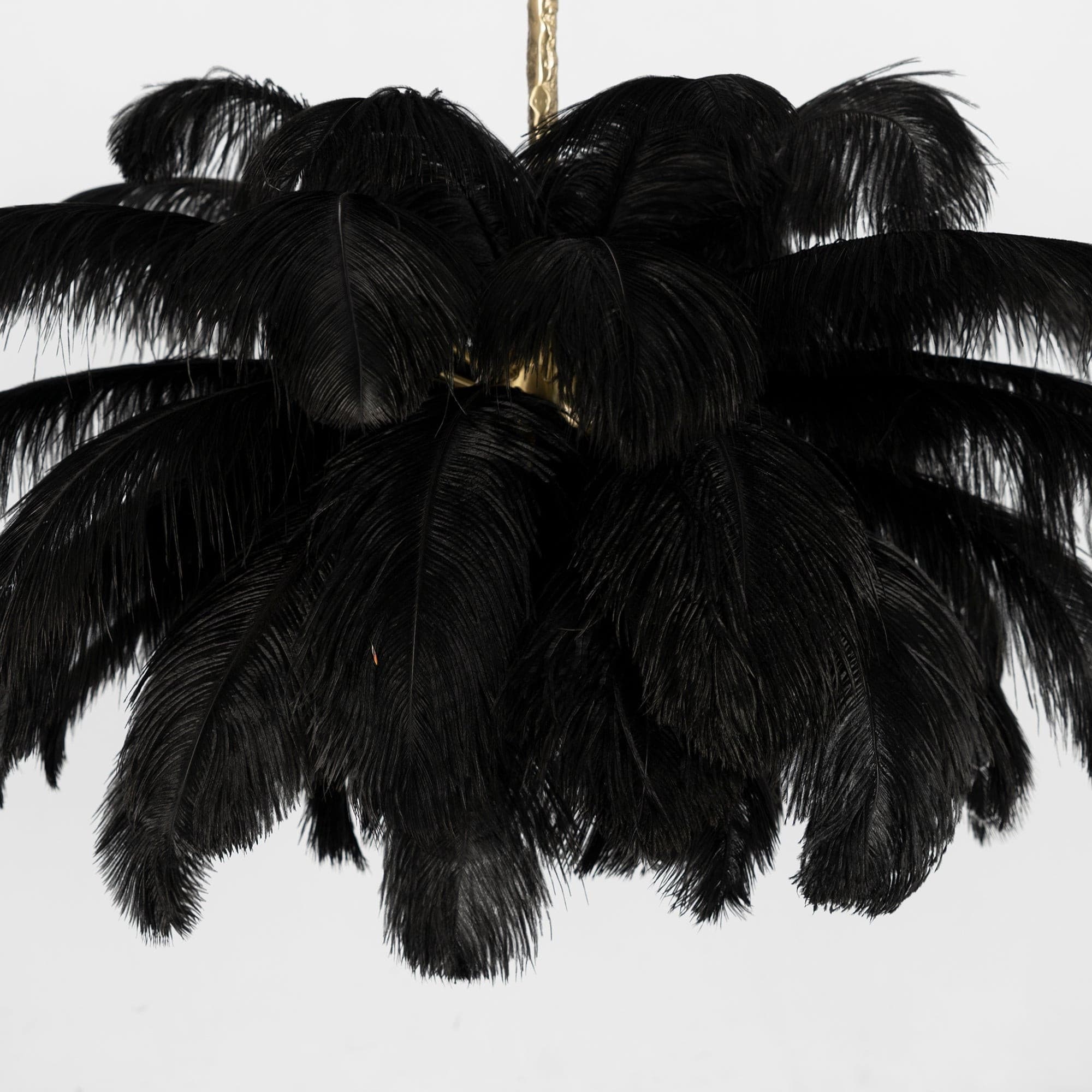 FELICITY PLUME FEATHERED LIGHTING