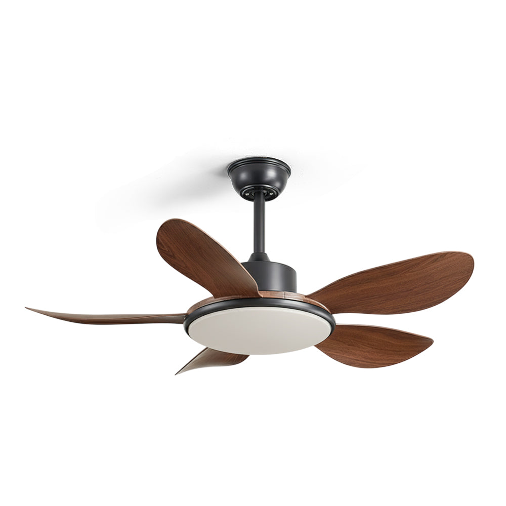 CHARLESTON WHIRL CEILING ILLUMINATOR