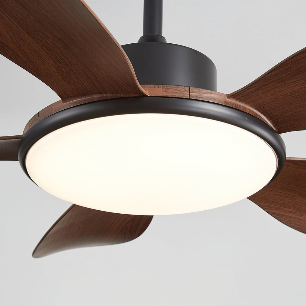 CHARLESTON WHIRL CEILING ILLUMINATOR
