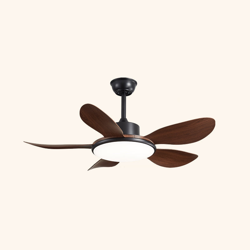 CHARLESTON WHIRL CEILING ILLUMINATOR