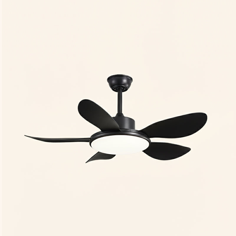 CHARLESTON WHIRL CEILING ILLUMINATOR