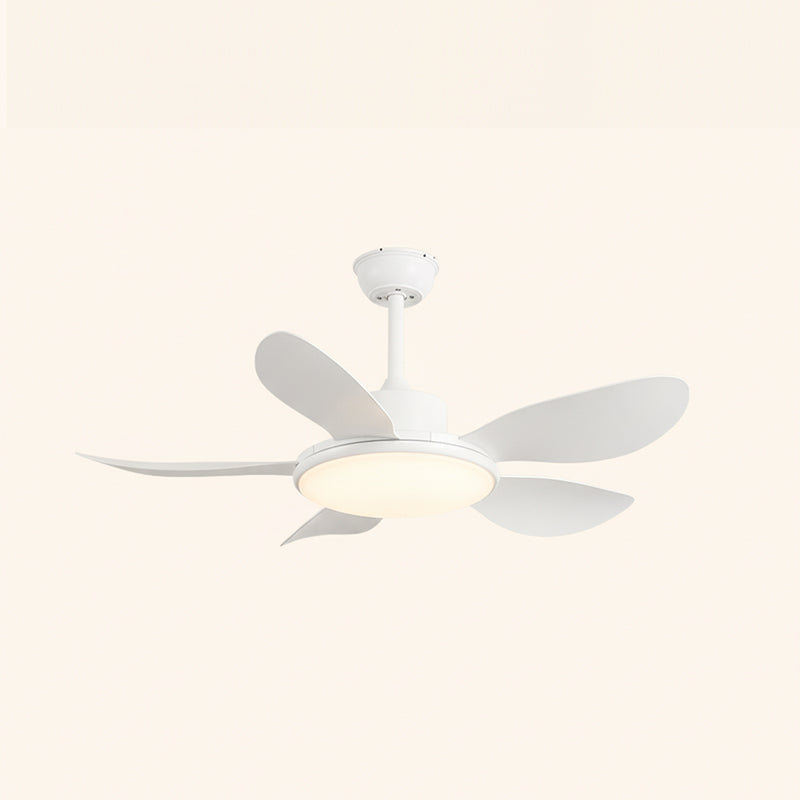 CHARLESTON WHIRL CEILING ILLUMINATOR