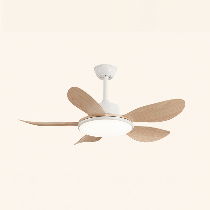 CHARLESTON WHIRL CEILING ILLUMINATOR