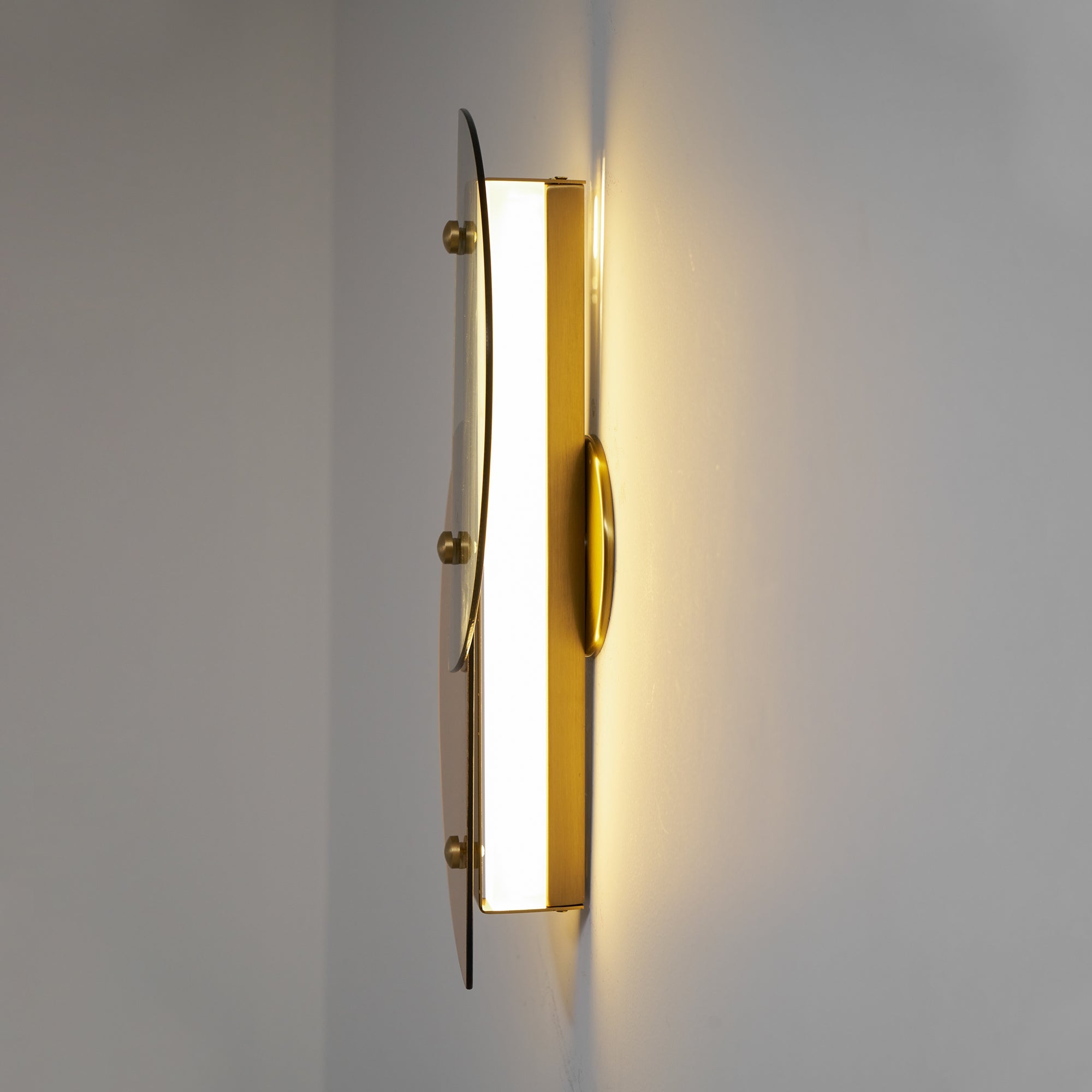CHARLESTON BUTTERFLY INSPIRATION WALL SCONCE