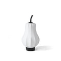 WINTHORPE PORTABLE PEAR-SHAPED ILLUMINATOR