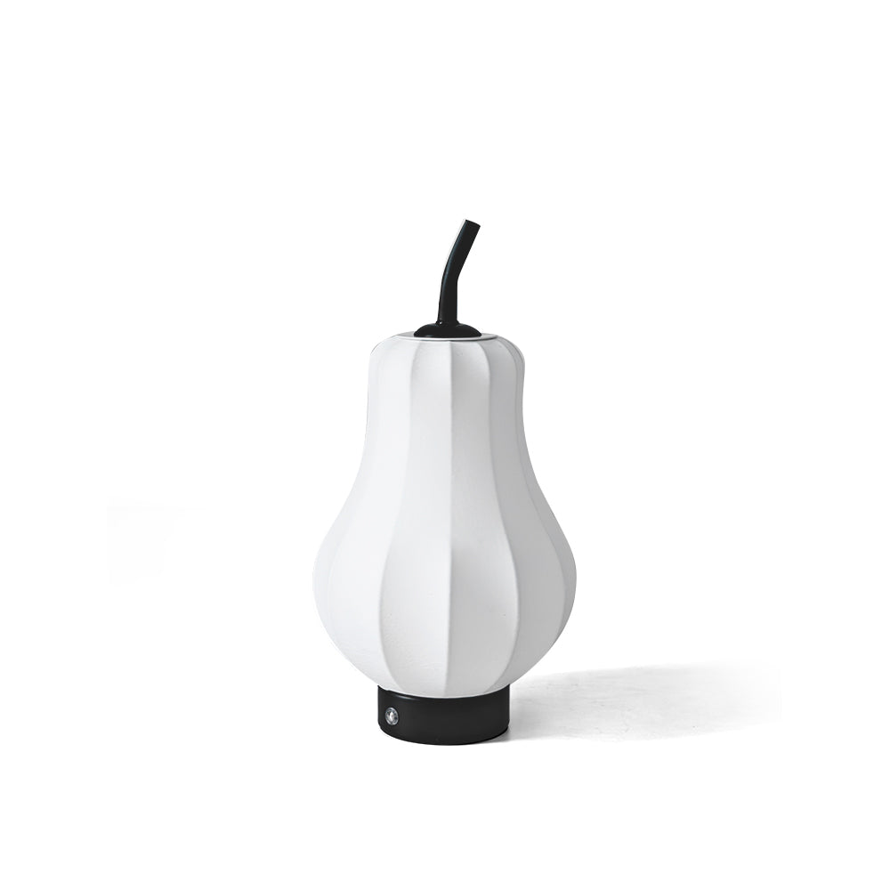 WINTHORPE PORTABLE PEAR-SHAPED ILLUMINATOR