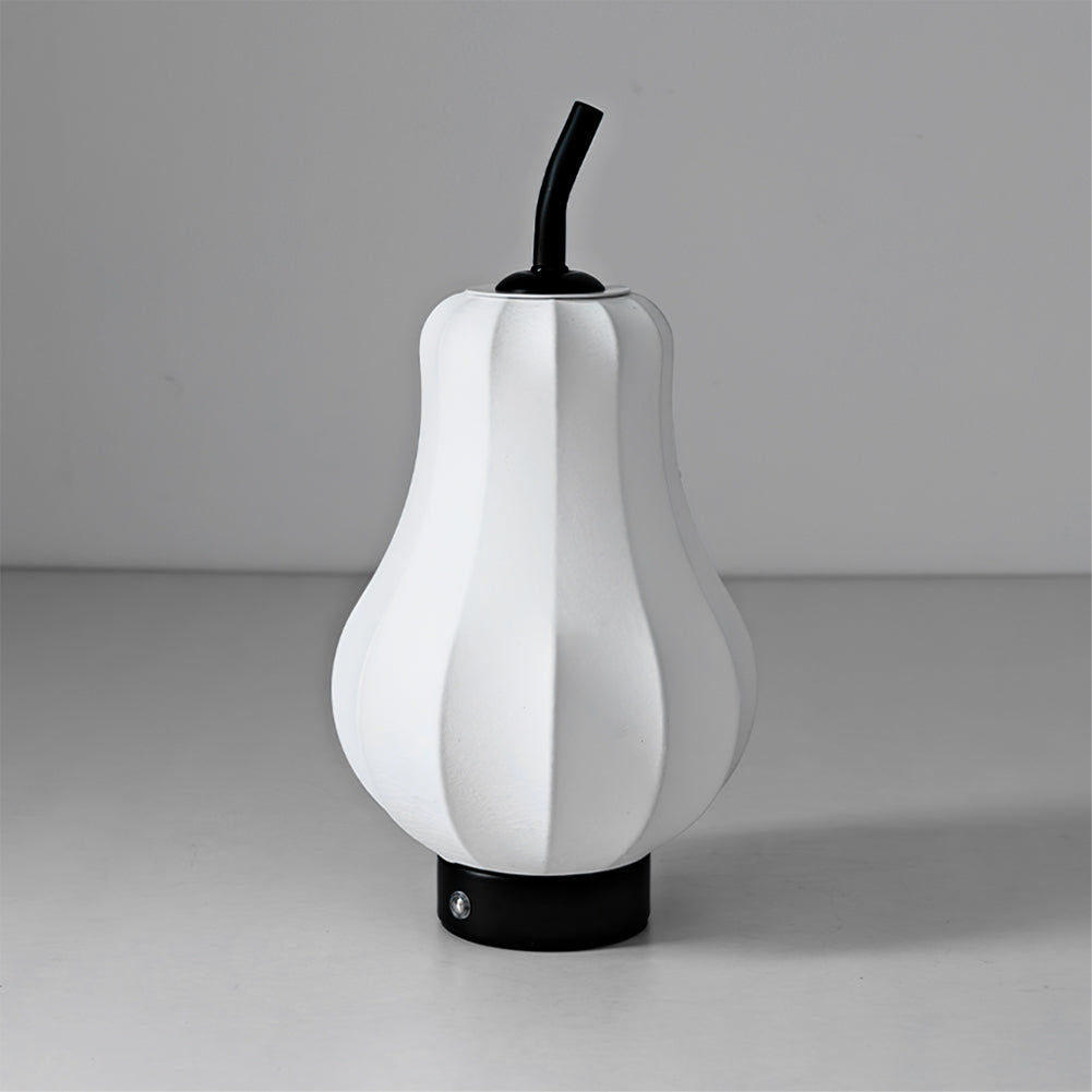 WINTHORPE PORTABLE PEAR-SHAPED ILLUMINATOR