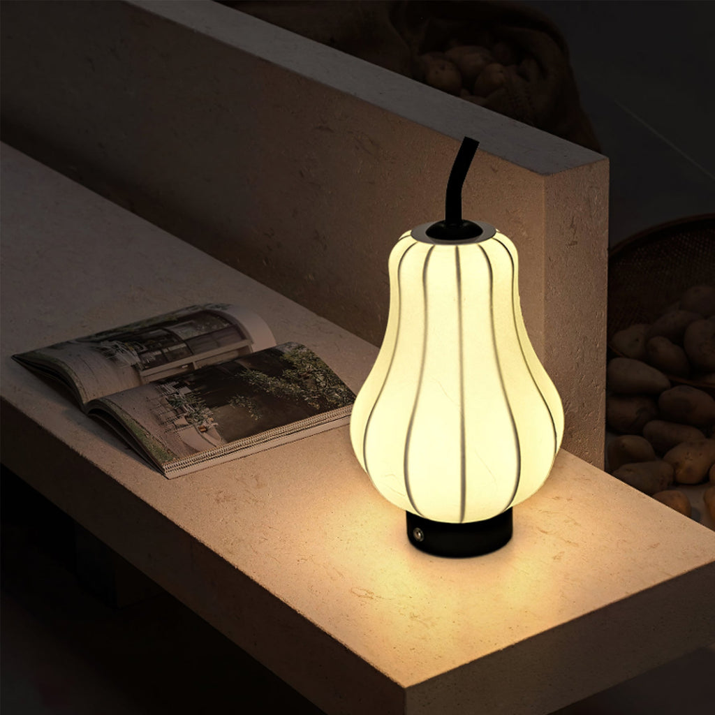 WINTHORPE PORTABLE PEAR-SHAPED ILLUMINATOR