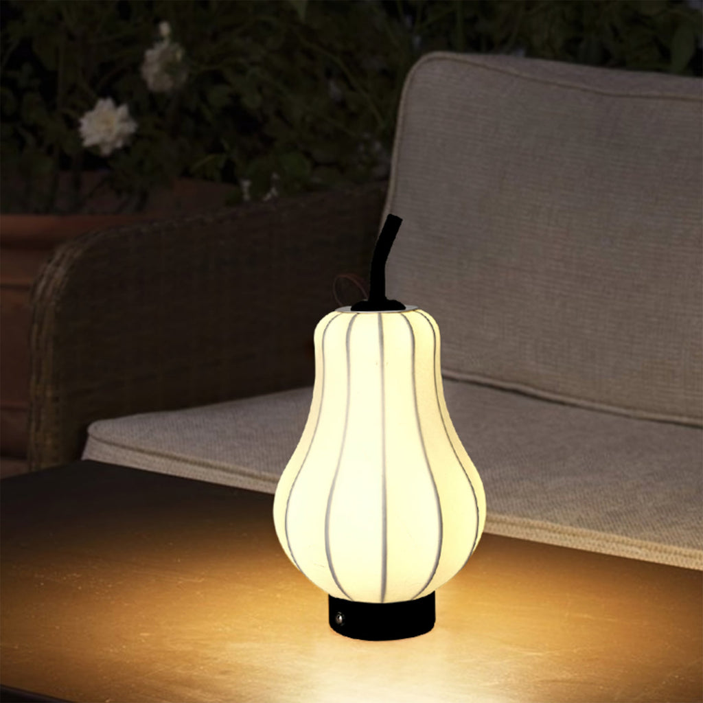 WINTHORPE PORTABLE PEAR-SHAPED ILLUMINATOR