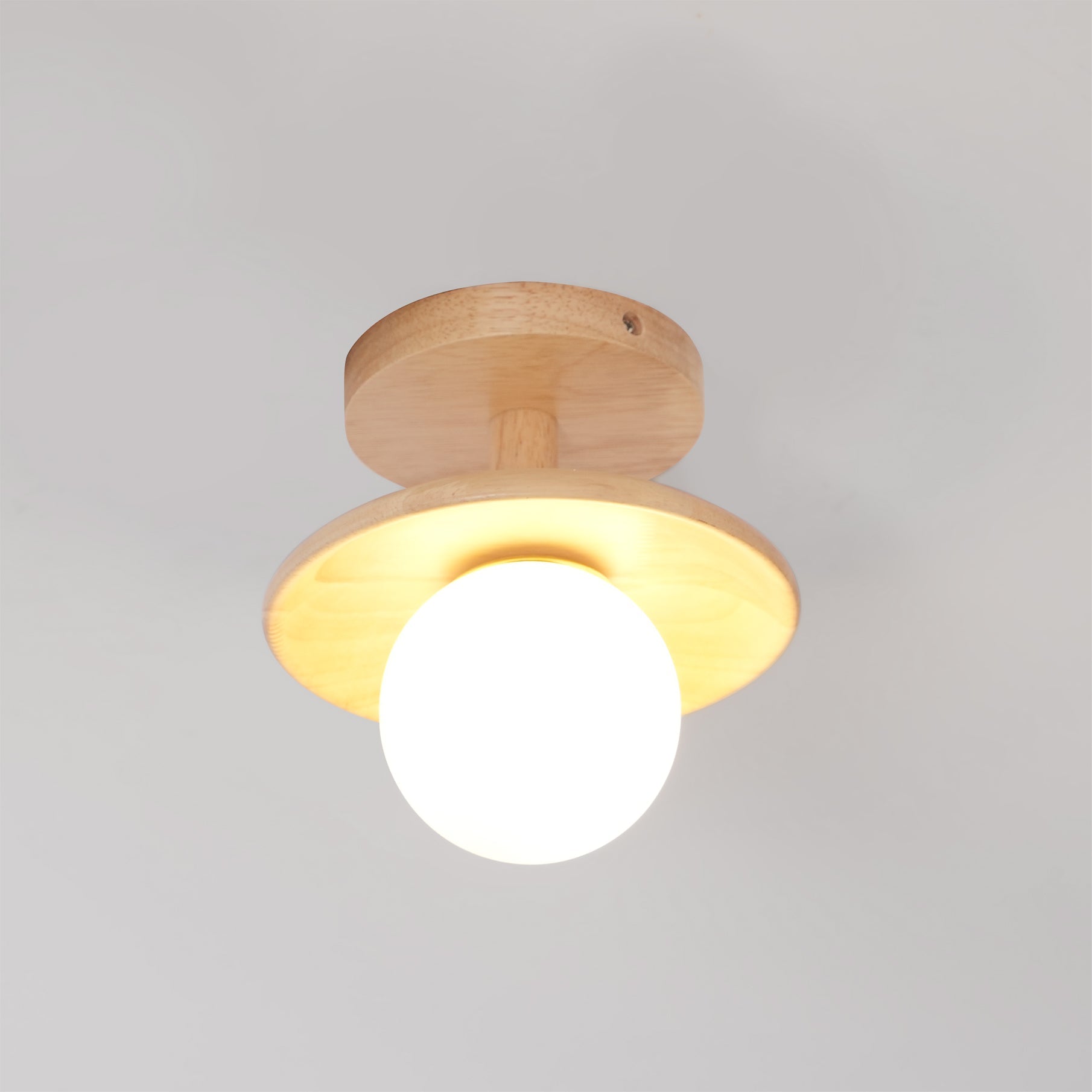 WHITMORE FROSTED GLASS CEILING GLOBE