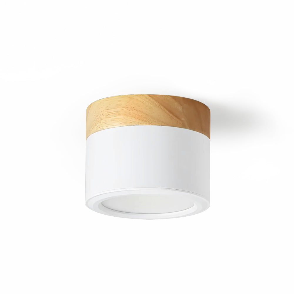 WINTHROP SPOTLIGHT CEILING APPLIQUE