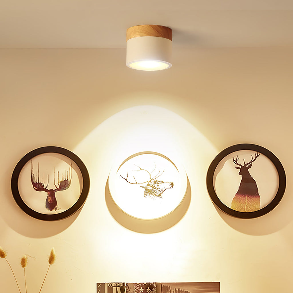 WINTHROP SPOTLIGHT CEILING APPLIQUE