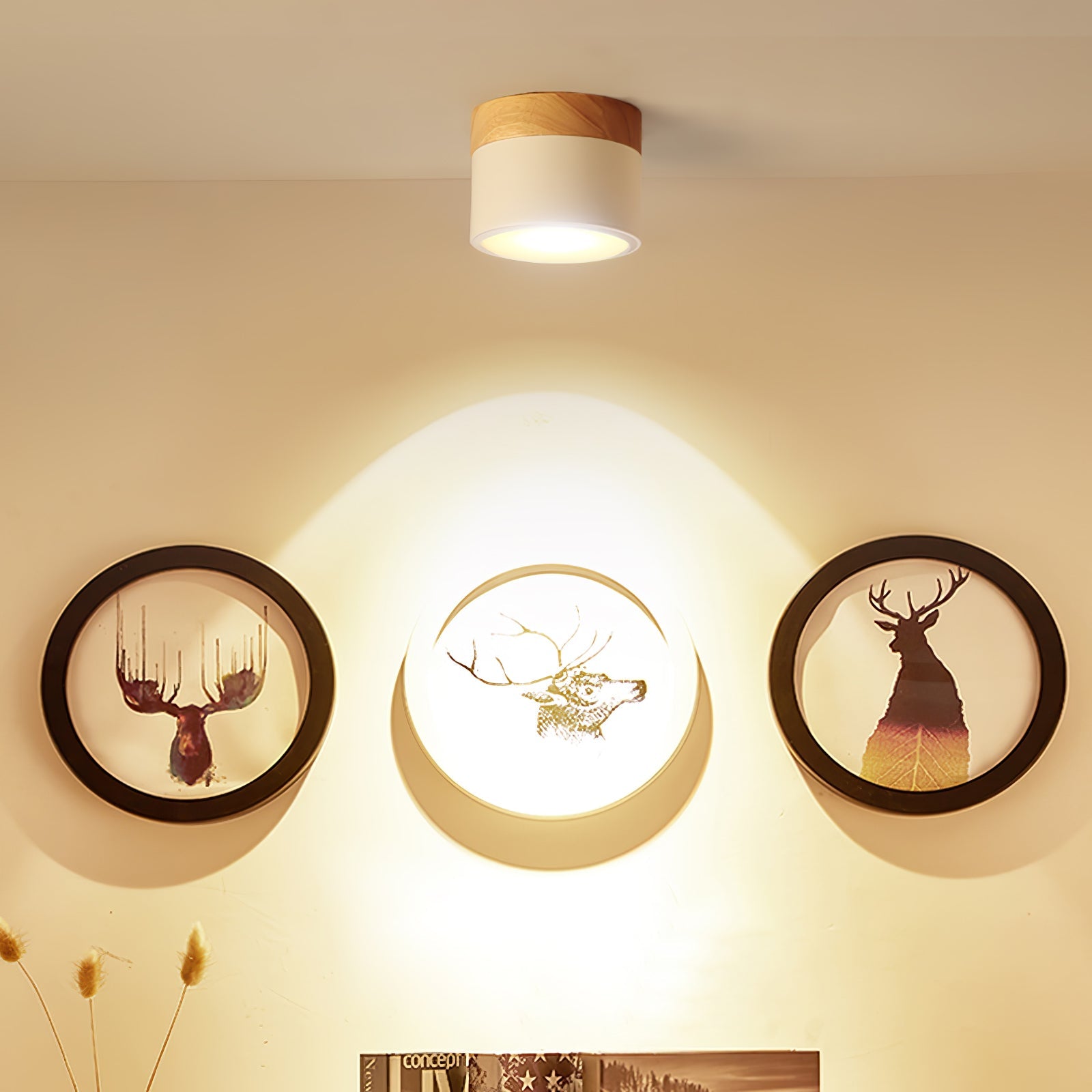 WINTHROP SPOTLIGHT CEILING APPLIQUE