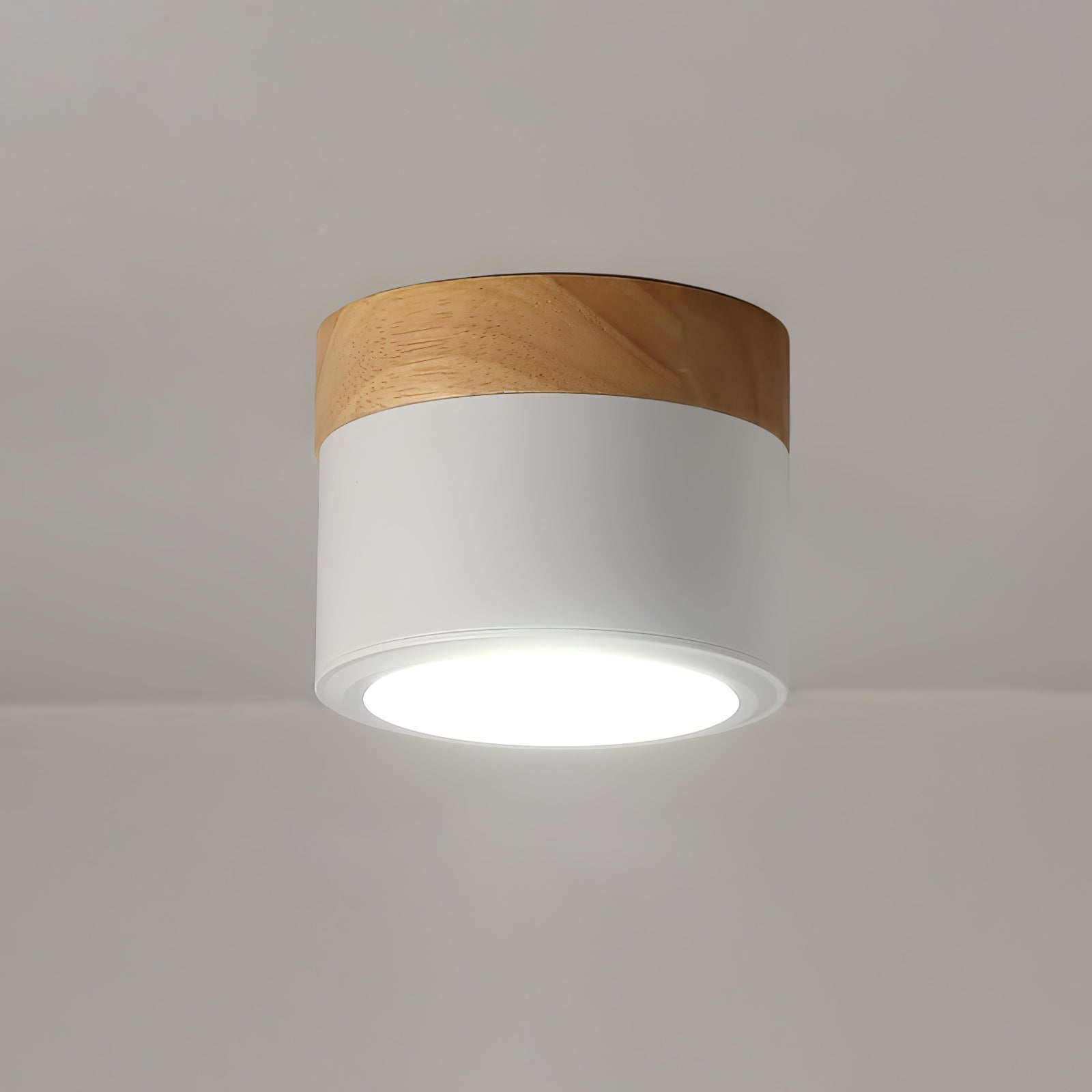 WINTHROP SPOTLIGHT CEILING APPLIQUE