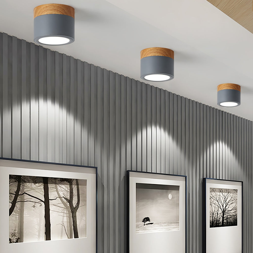 WINTHROP SPOTLIGHT CEILING APPLIQUE