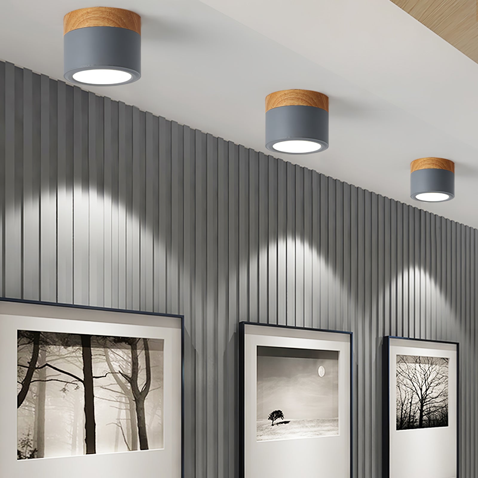 WINTHROP SPOTLIGHT CEILING APPLIQUE