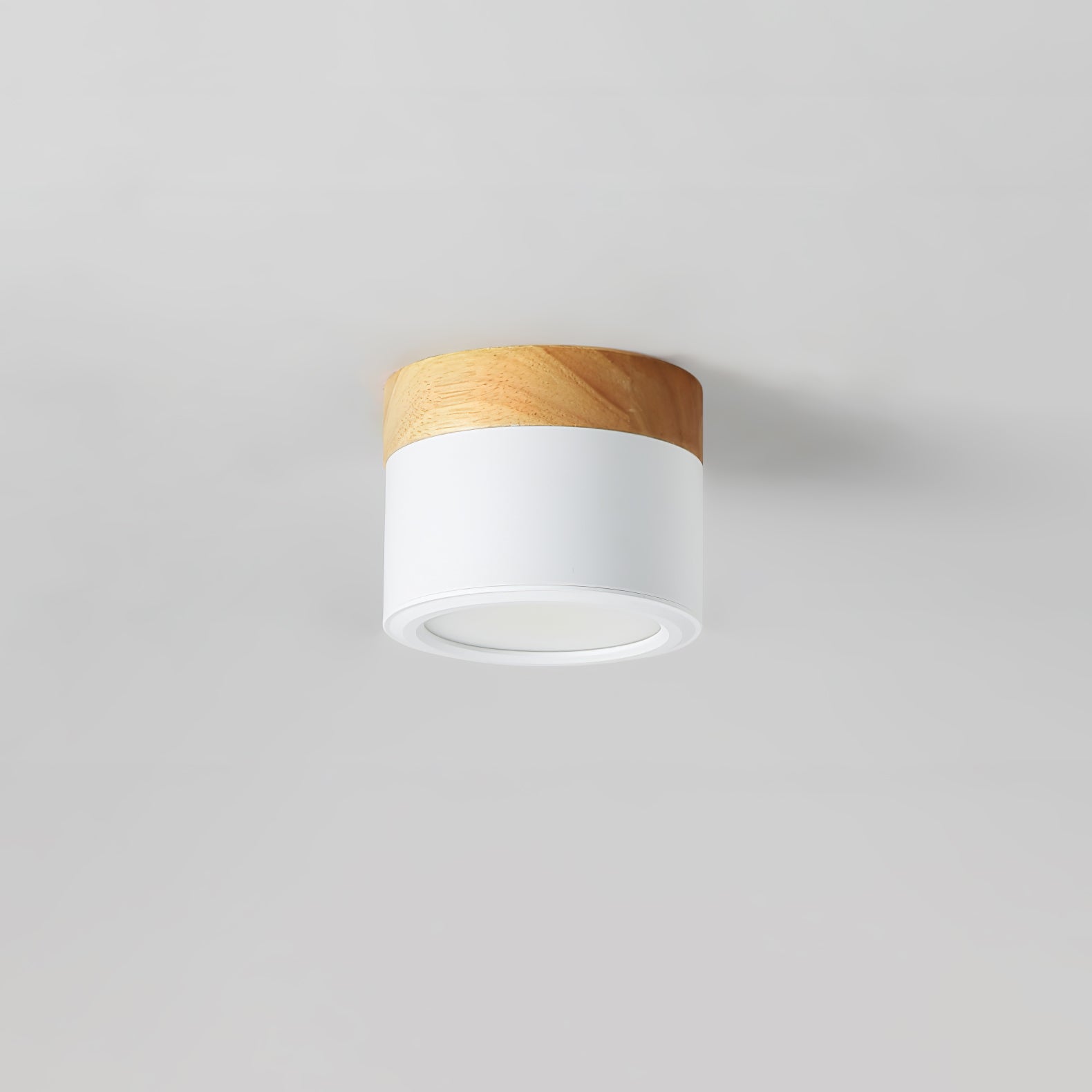 WINTHROP SPOTLIGHT CEILING APPLIQUE