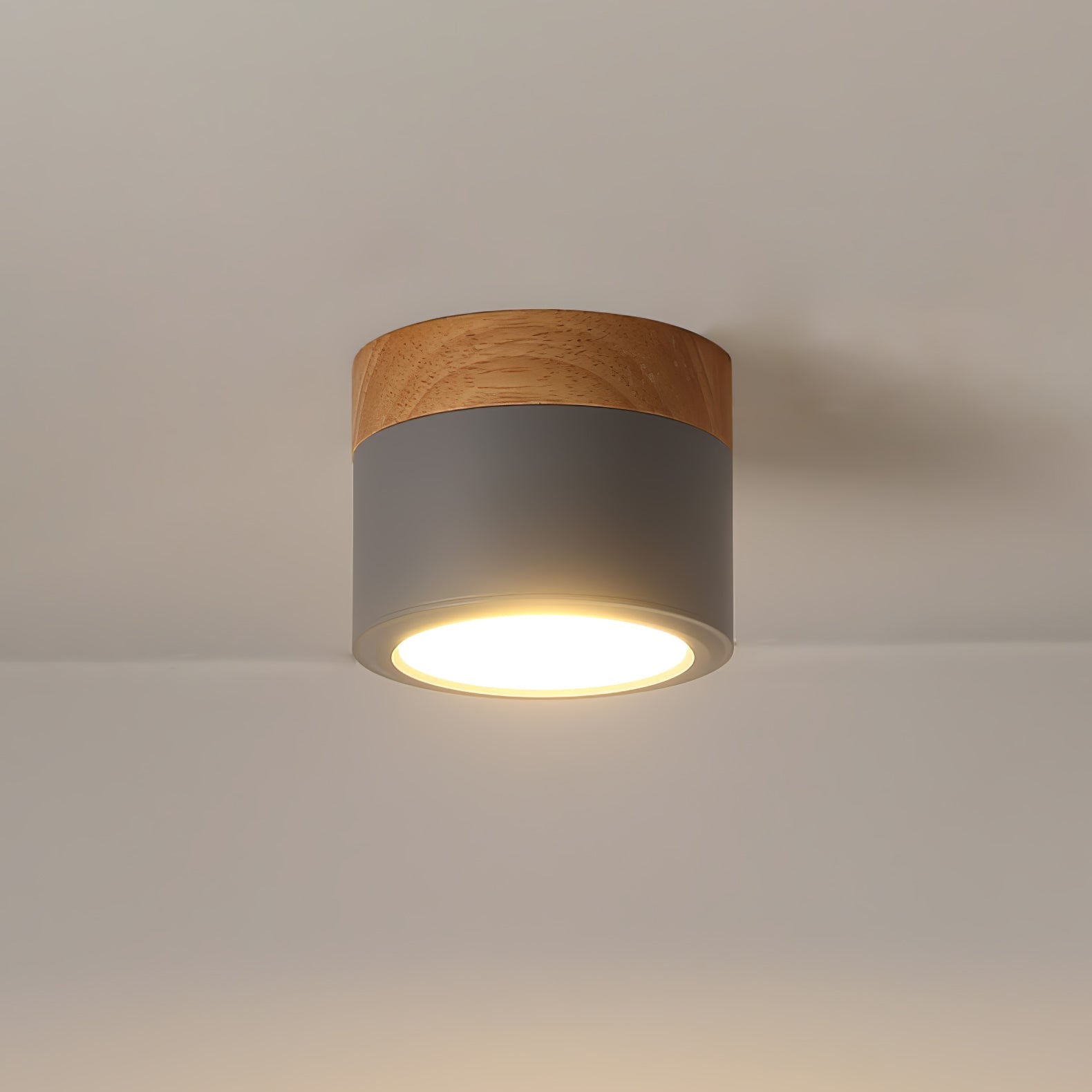 WINTHROP SPOTLIGHT CEILING APPLIQUE